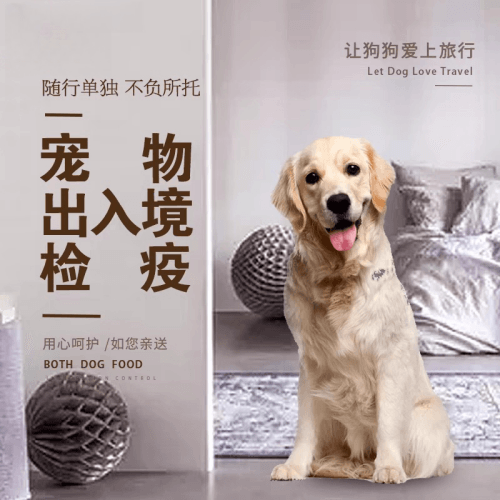 沙坪坝区宠物托运到哥伦比亚猫狗宠物入境规定和