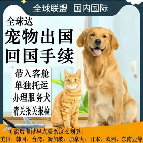 沙坪坝区宠物托运到柬埔寨宠物入境规定和要求