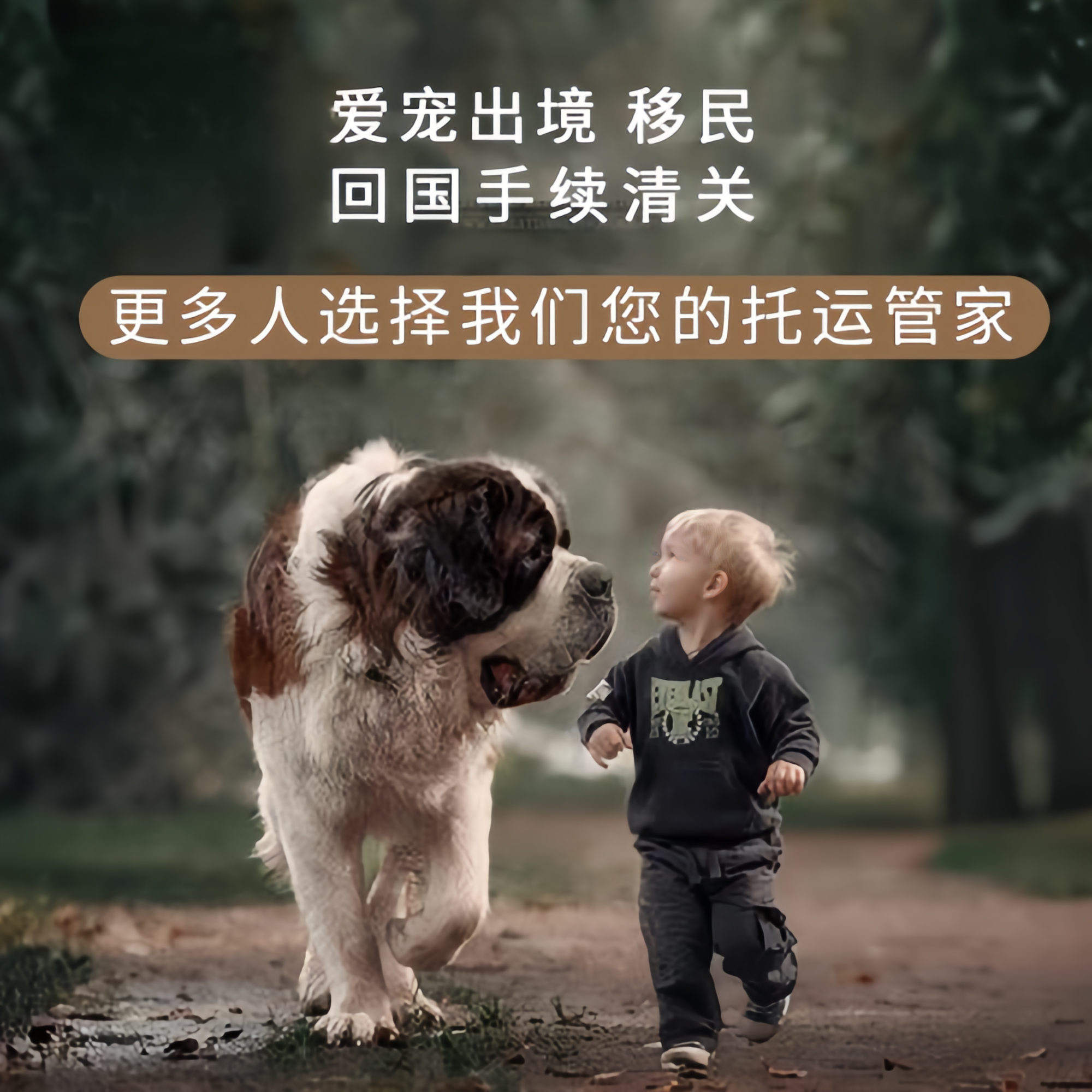 满财沙坪坝区宠物全球达宠物托运在遵守入境目的地政策的条件