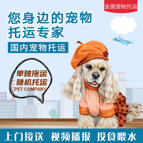 满财沙坪坝区宠物全球达宠物托运作为专业的宠物运输代理机构